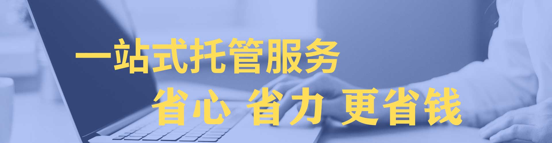 大树朋友圈信息流